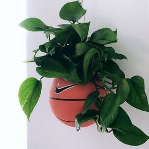 Meet your Posher, Cassie